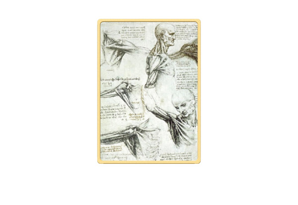 Münzbarren Anatomische Studie Da Vinci 999/1000 Gold