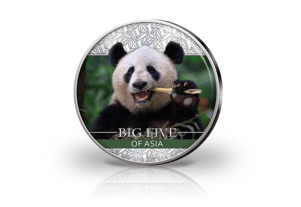 Big Five Asien Panda 30 Gramm Silber Jahrgang unserer Wahl China mit Farbmotiv Große Panda