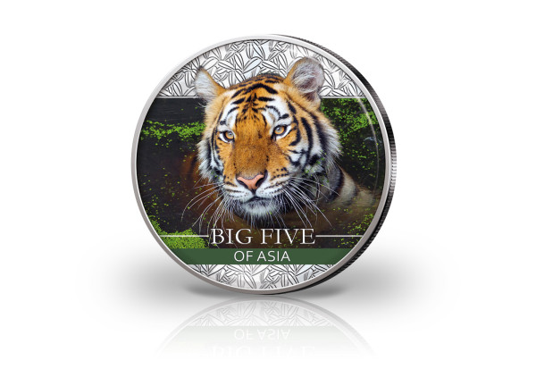 Big Five Asien Panda 30 Gramm Silber Jahrgang unserer Wahl China mit Farbmotiv Sibirische Tiger