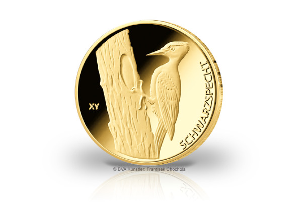 20 Euro Goldmünze 2021 Deutschland Der Schwarzspecht Prägestätte unserer Wahl