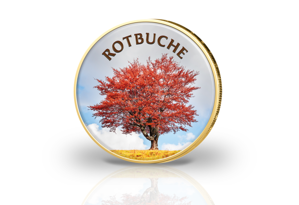 2 Euro vergoldet Die Rotbuche - Baum des Jahres 2022 mit Farbmotiv