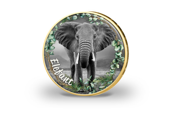 2 Euro vergoldet Elefant mit Farbmotiv