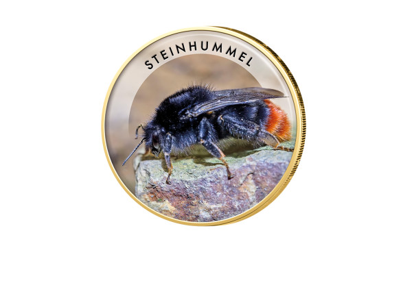 2 Euro Steinhummel vergoldet mit Farbmotiv