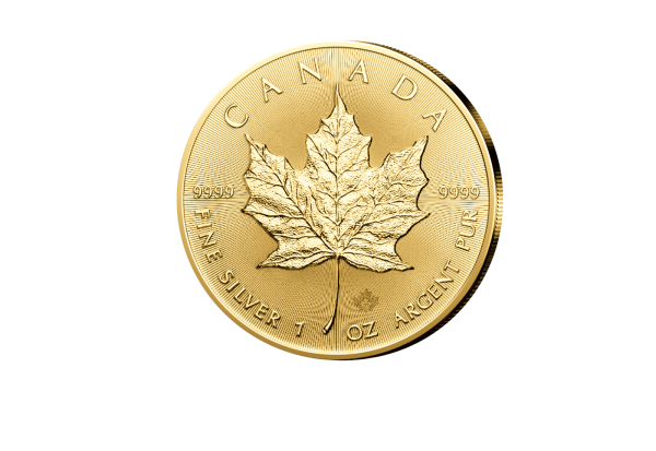 Maple Leaf 1 oz Silber 2024 Kanada mit 24 Karat Goldauflage