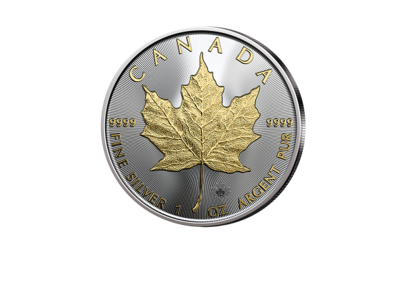 Maple Leaf 1 oz Silber 2024 Kanada mit 24 Karat Goldapplikation