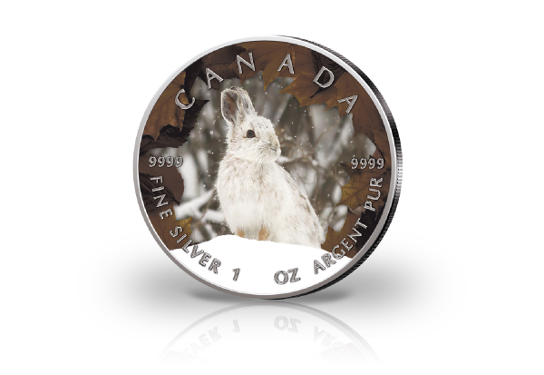 Maple Leaf 1 oz Silber Jahrgang unserer Wahl Kanada mit Farbmotiv Schneehase