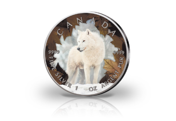 Maple Leaf 1 oz Silber Jahrgang unserer Wahl Kanada mit Farbmotiv Polarwolf
