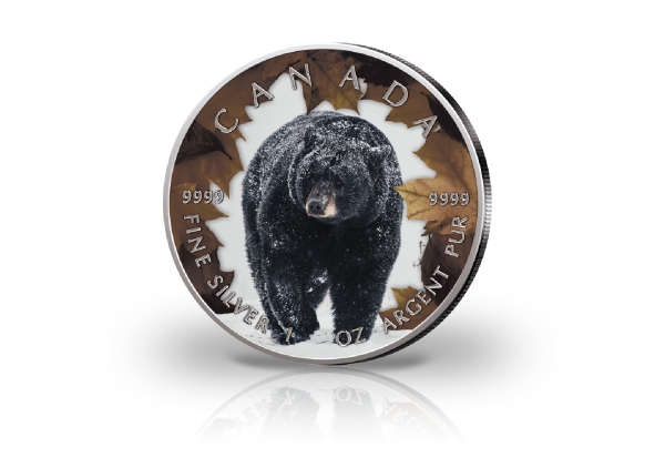 Maple Leaf 1 oz Silber Jahrgang unserer Wahl Kanada mit Farbmotiv Schwarzbär