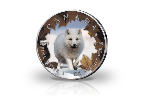 Maple Leaf 1 oz Silber Jahrgang unserer Wahl Kanada mit Farbmotiv Polarfuchs