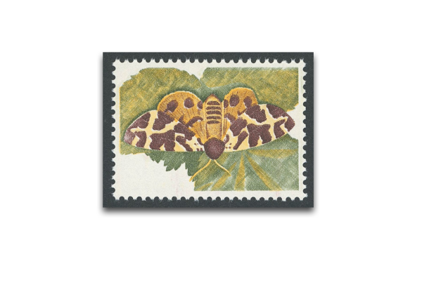 Briefmarken Versuchsdruck WIFAG Schmetterling mit Originalgummierung