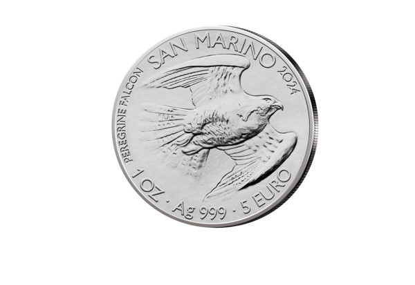 5 Euro 2024 San Marino Wanderfalke 1 oz Silber