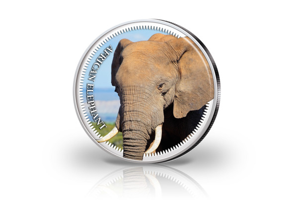 Big Five Krügerrand 1 oz Silber Südafrika mit Farbmotiv Elefant