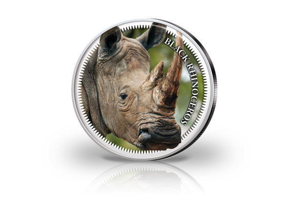 Big Five Krügerrand 1 oz Silber Südafrika mit Farbmotiv Nashorn