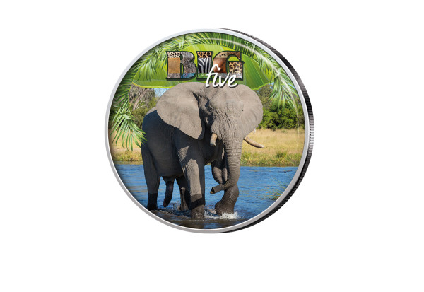 Big Five Krügerrand 1 oz Silber Südafrika mit Farbmotiv Elefant
