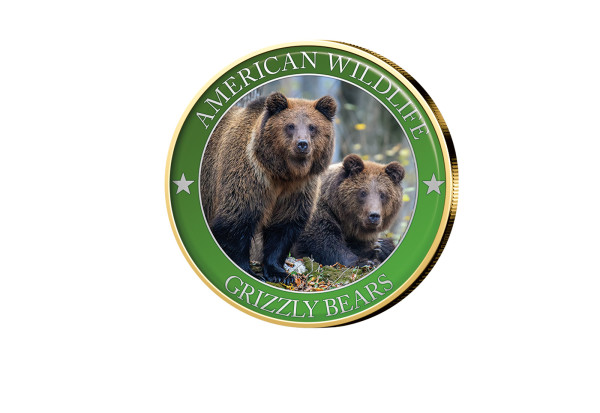 1/2 Dollar USA Grizzly Bear Serie American Wildlife mit Farbmotiv