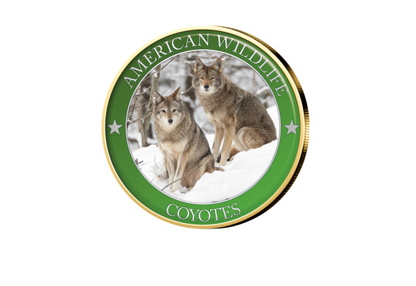 1/2 Dollar USA Coyote Serie American Wildlife mit Farbmotiv