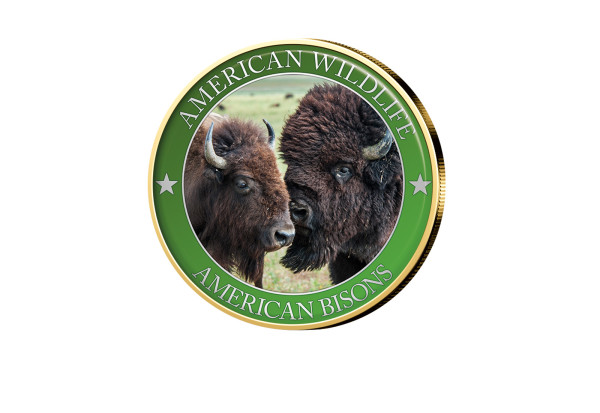 1/2 Dollar USA American Bison Serie American Wildlife mit Farbmotiv