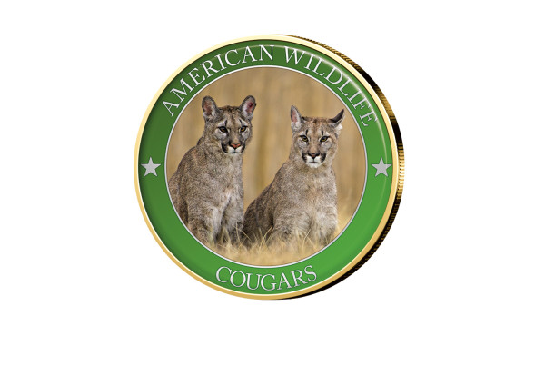1/2 Dollar USA Cougar Serie American Wildlife mit Farbmotiv