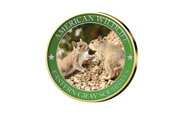 1/2 Dollar USA Eastern Grey Squirrel Serie American Wildlife mit Farbmotiv