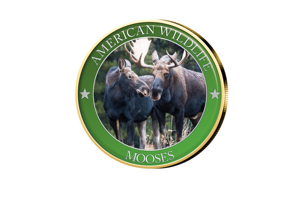1/2 Dollar USA Moose Serie American Wildlife mit Farbmotiv