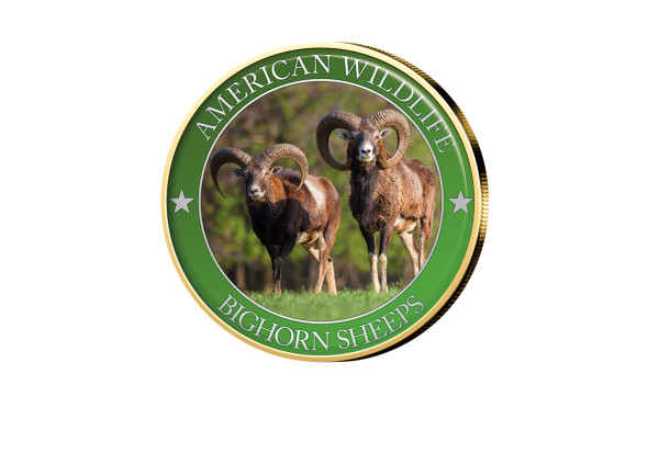 1/2 Dollar USA Bighorn Sheep Serie American Wildlife mit Farbmotiv