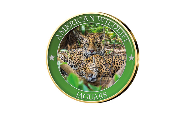 1/2 Dollar USA Jaguar Serie American Wildlife mit Farbmotiv