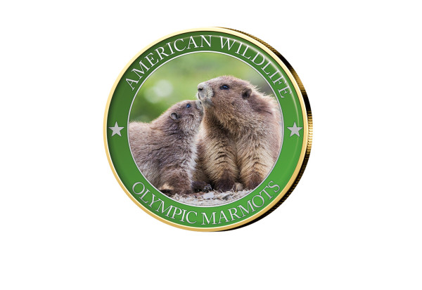 1/2 Dollar USA Olympic Marmot Serie American Wildlife mit Farbmotiv