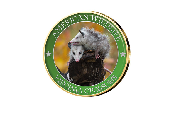 1/2 Dollar USA Virginia Opossum Serie American Wildlife mit Farbmotiv