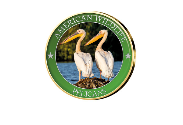 1/2 Dollar USA Pelican Serie American Wildlife mit Farbmotiv