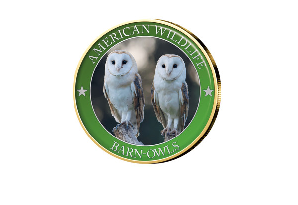 1/2 Dollar USA Barn Owl Serie American Wildlife mit Farbmotiv