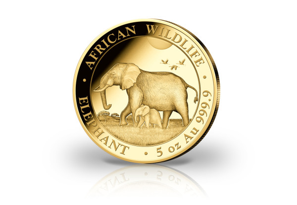 African Wildlife Serie 5 oz Gold 2022 Somalia Elefant