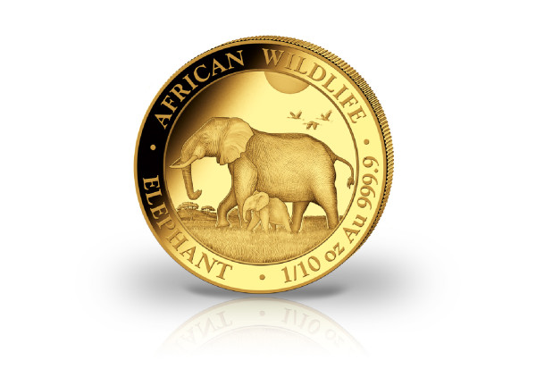 African Wildlife Serie 1/10 oz Gold 2022 Somalia Elefant