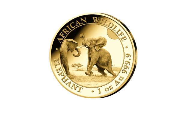 African Wildlife Serie 1 oz Gold 2024 Somalia Elefant