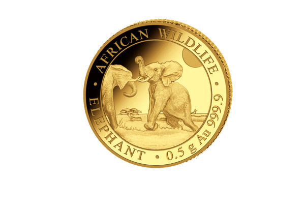 African Wildlife Serie 0,5 Gramm Gold 2024 Somalia Elefant