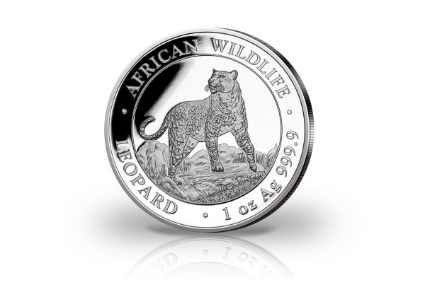 African Wildlife Serie 1 oz Silber 2022 Somalia Leopard