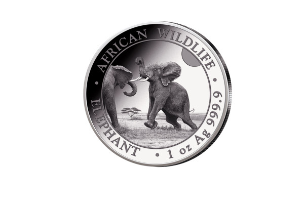 African Wildlife Serie 1 oz Silber 2024 Somalia Elefant