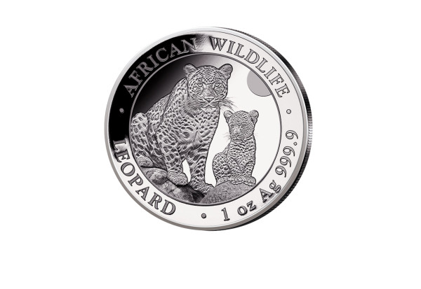 African Wildlife 1 oz Silber 2024 Somalia Leopard