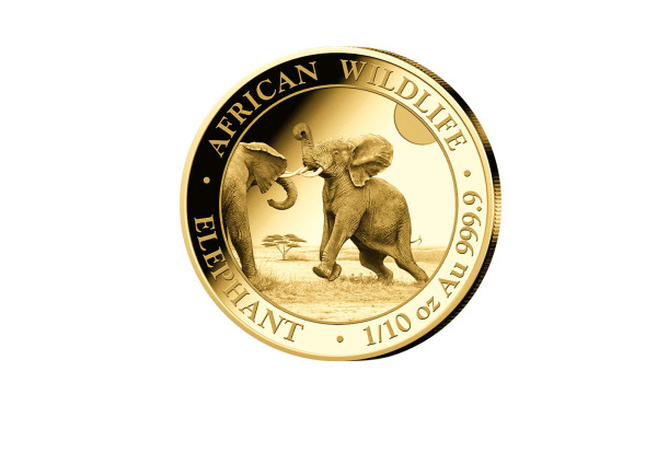 African Wildlife Serie 1/10 oz Gold 2024 Somalia Elefant im 5er-Spar-Set